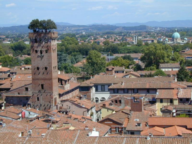 Lucca - Guinigi Palace